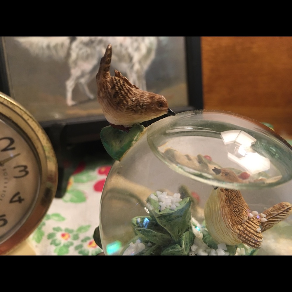 Marjolein Bastin birds snow globe - Picture 11 of 12